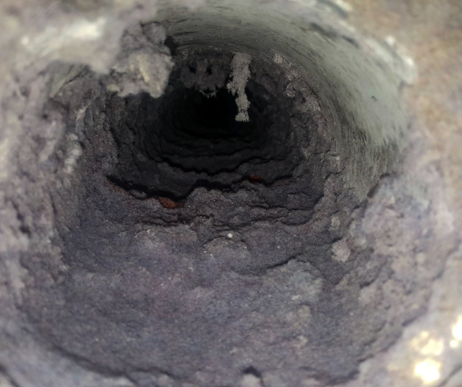 dryer vent cleaning service consultation