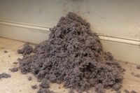 dryer vent maintenance and cleaning service
